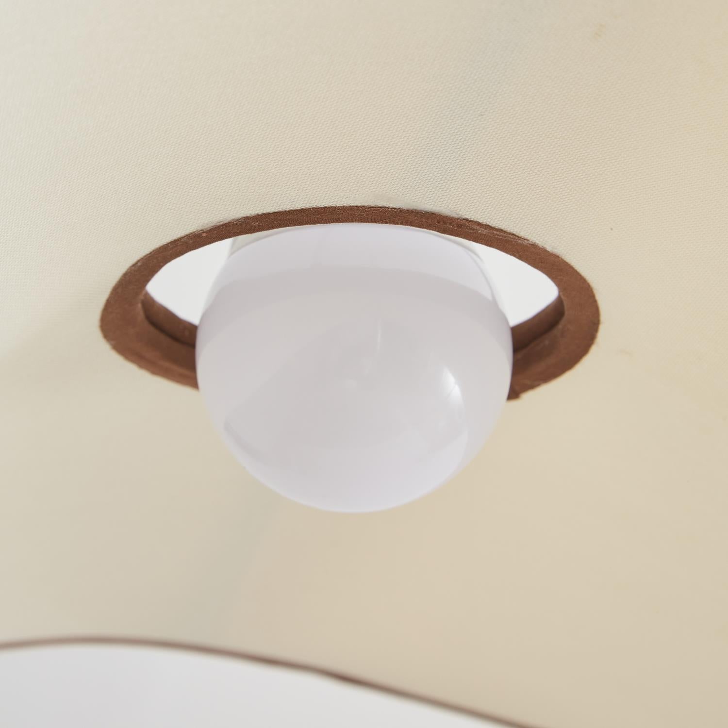 Miley Pendant Lamp Curved Organic Minimalist - Letslighting