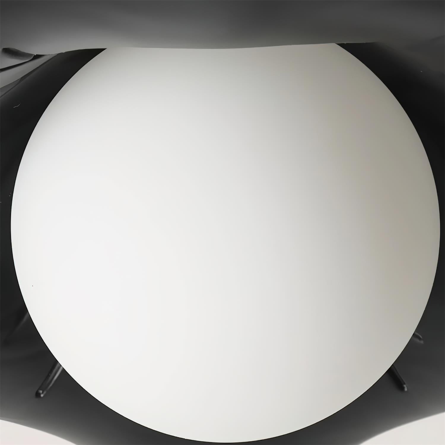 Monae Ceiling Light Petal Shape Globe Modern - Letslighting