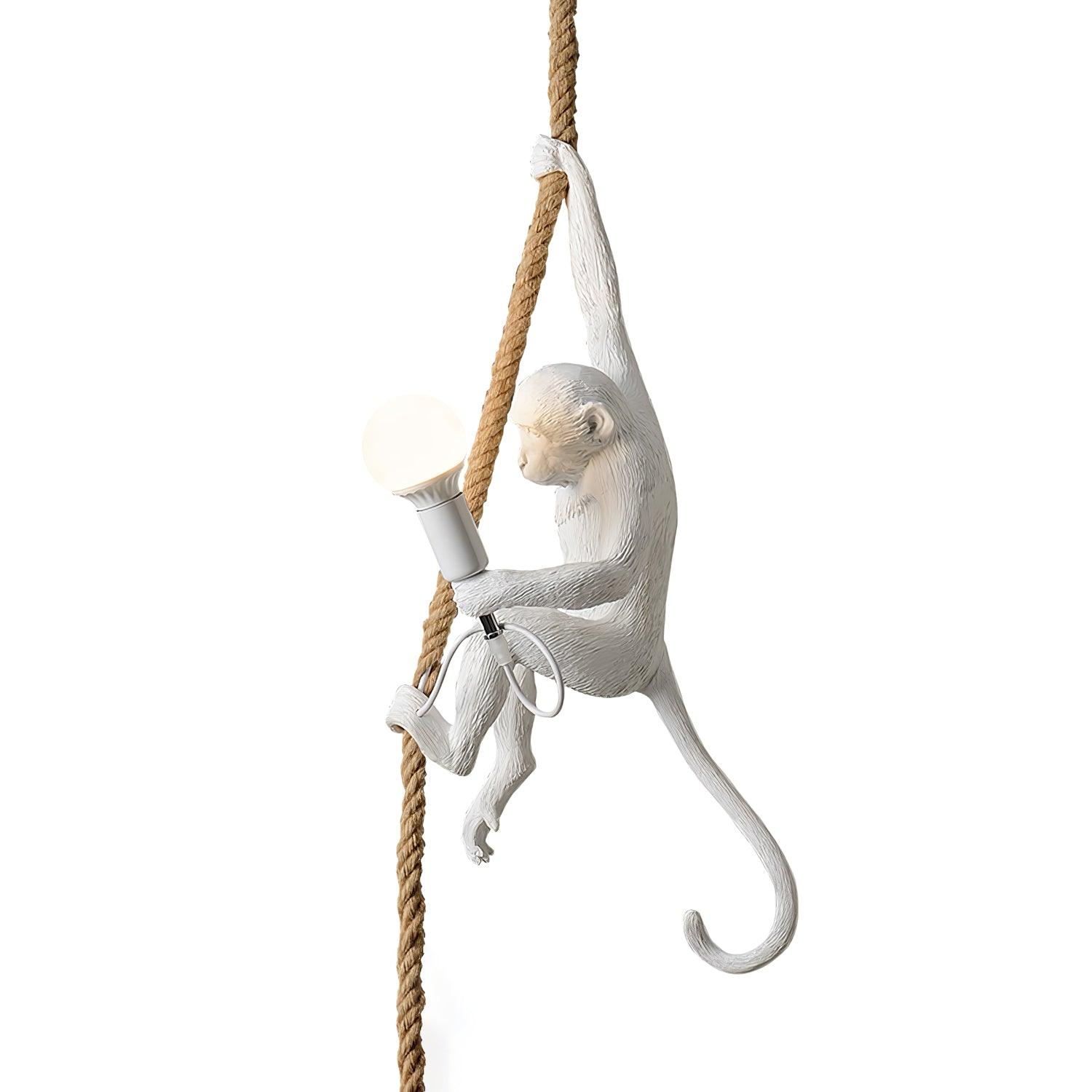 Zalira Resin Rope Artistic Pendant Lamp - Letslighting