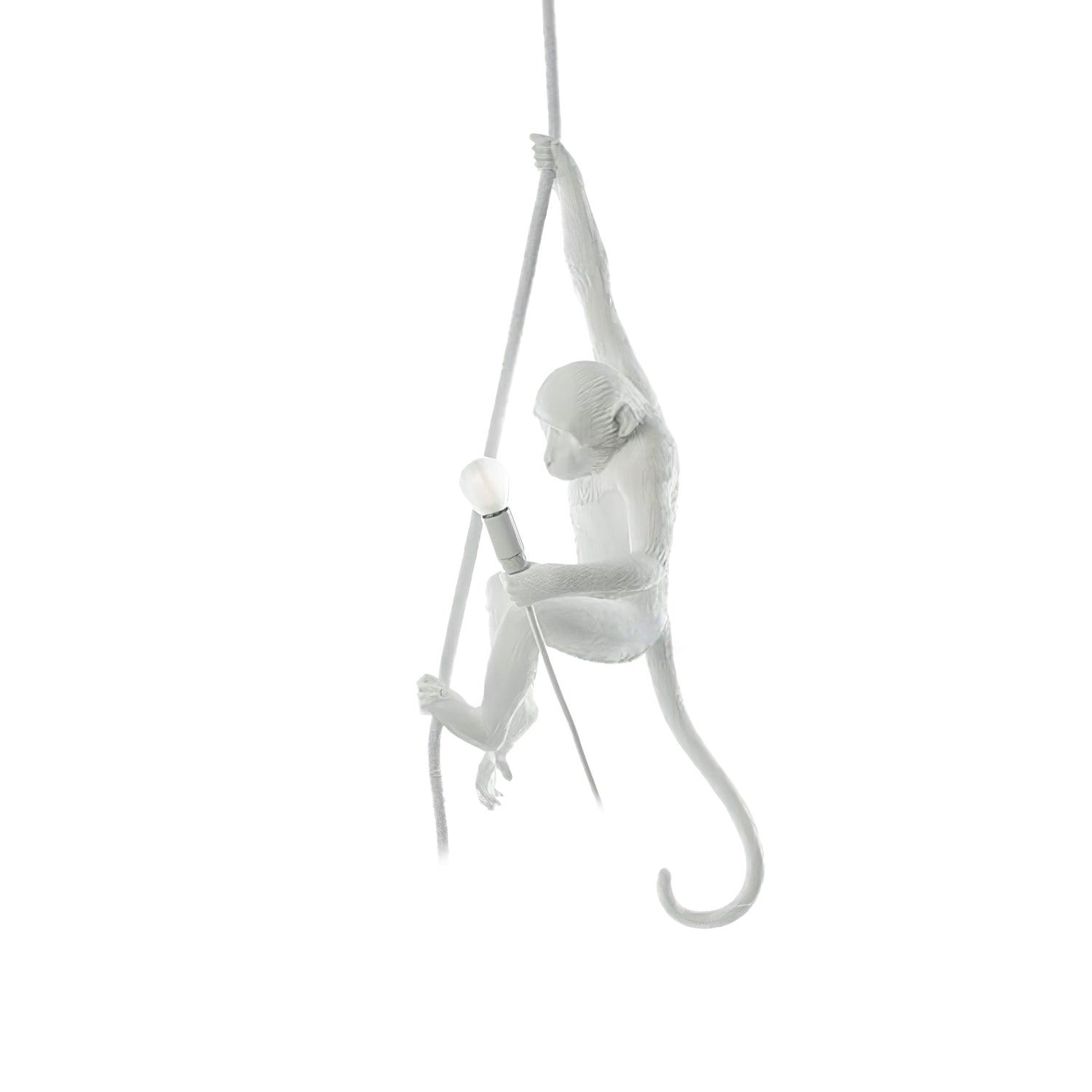 Zalira Resin Rope Artistic Pendant Lamp - Letslighting