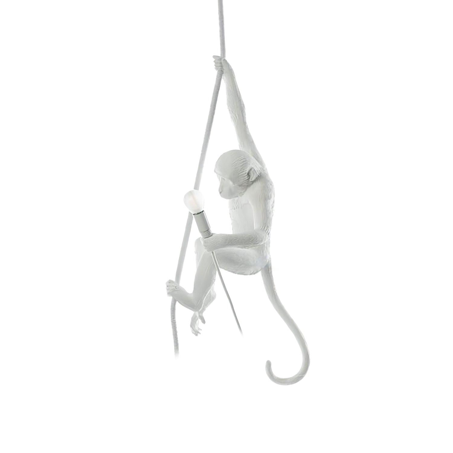 Zalira Resin Rope Artistic Pendant Lamp - Letslighting
