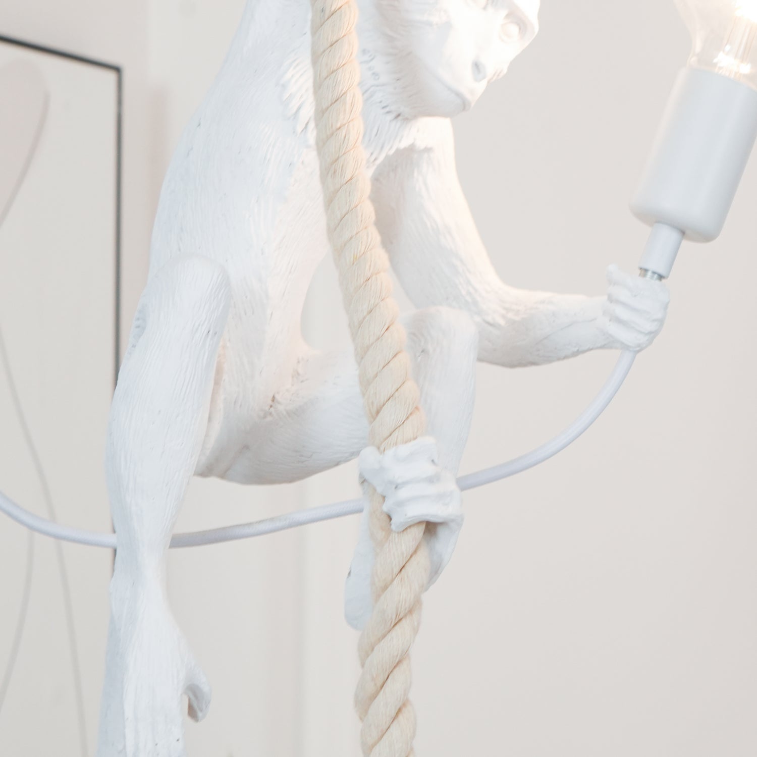 Zalira Resin Rope Artistic Pendant Lamp - Letslighting