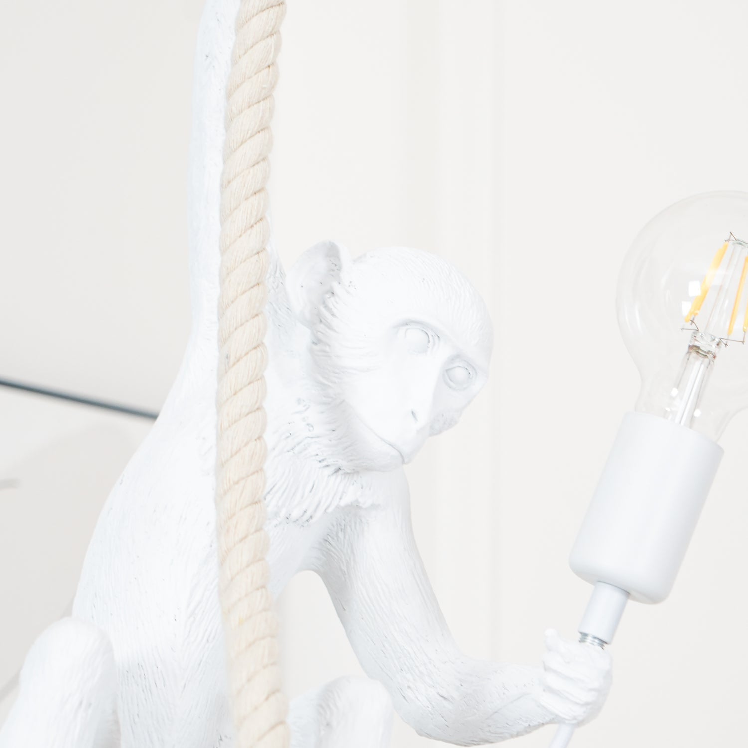 Zalira Resin Rope Artistic Pendant Lamp - Letslighting