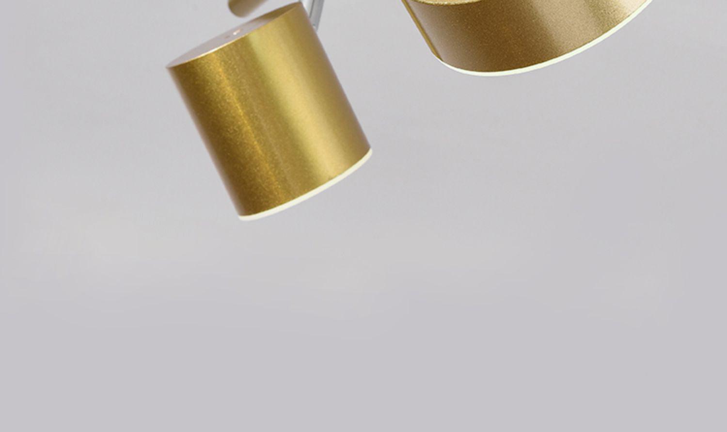 Zeren Acrylic Ceiling Light - Letslighting