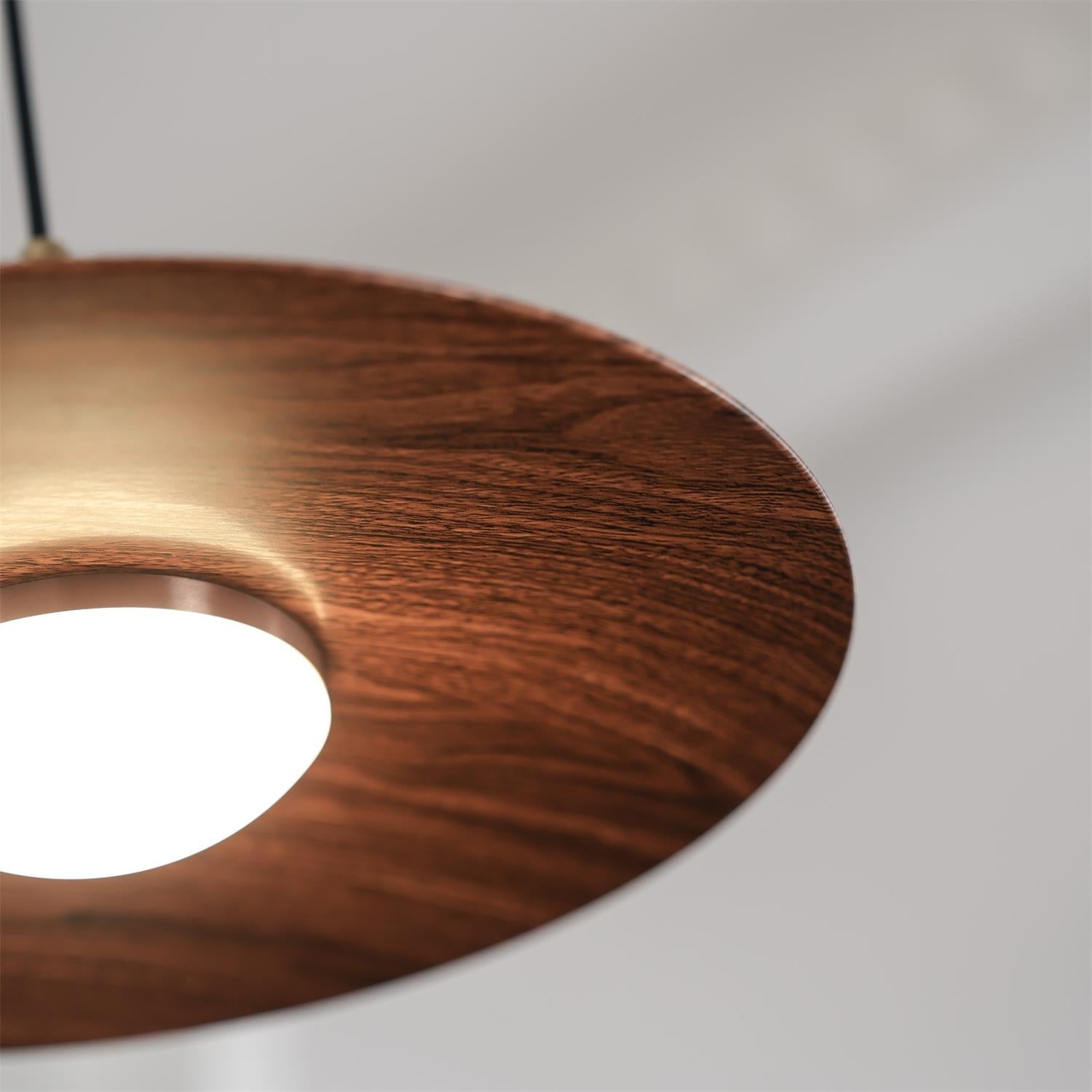 Veylo Adjustable Swing Arm Pendant Light - Letslighting