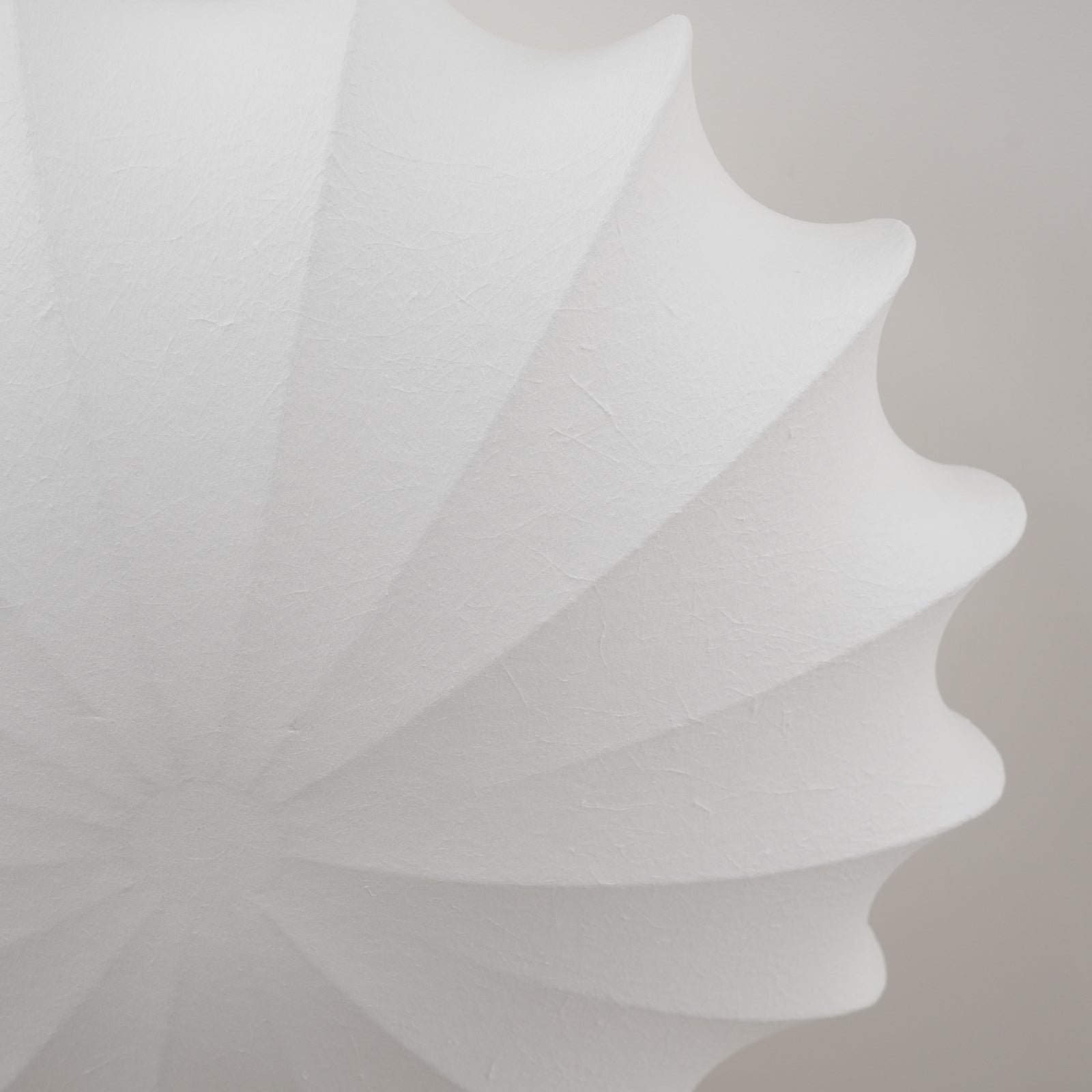 Ritta Ceiling Light Seashell Simplicity - Letslighting
