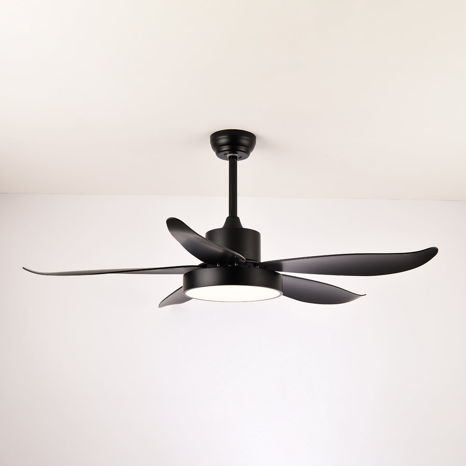 Auron Modern Ceiling Fan Light - Letslighting