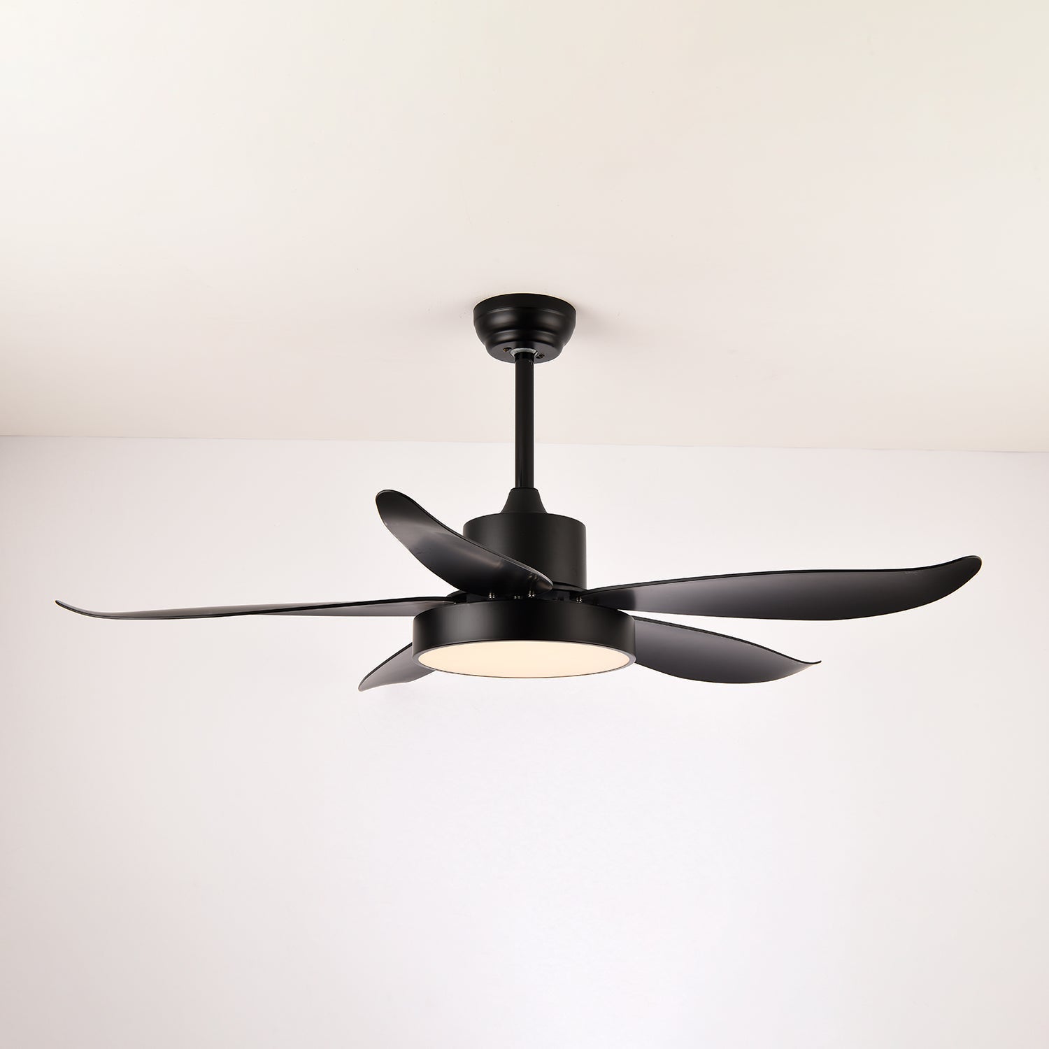 Auron Modern Ceiling Fan Light - Letslighting