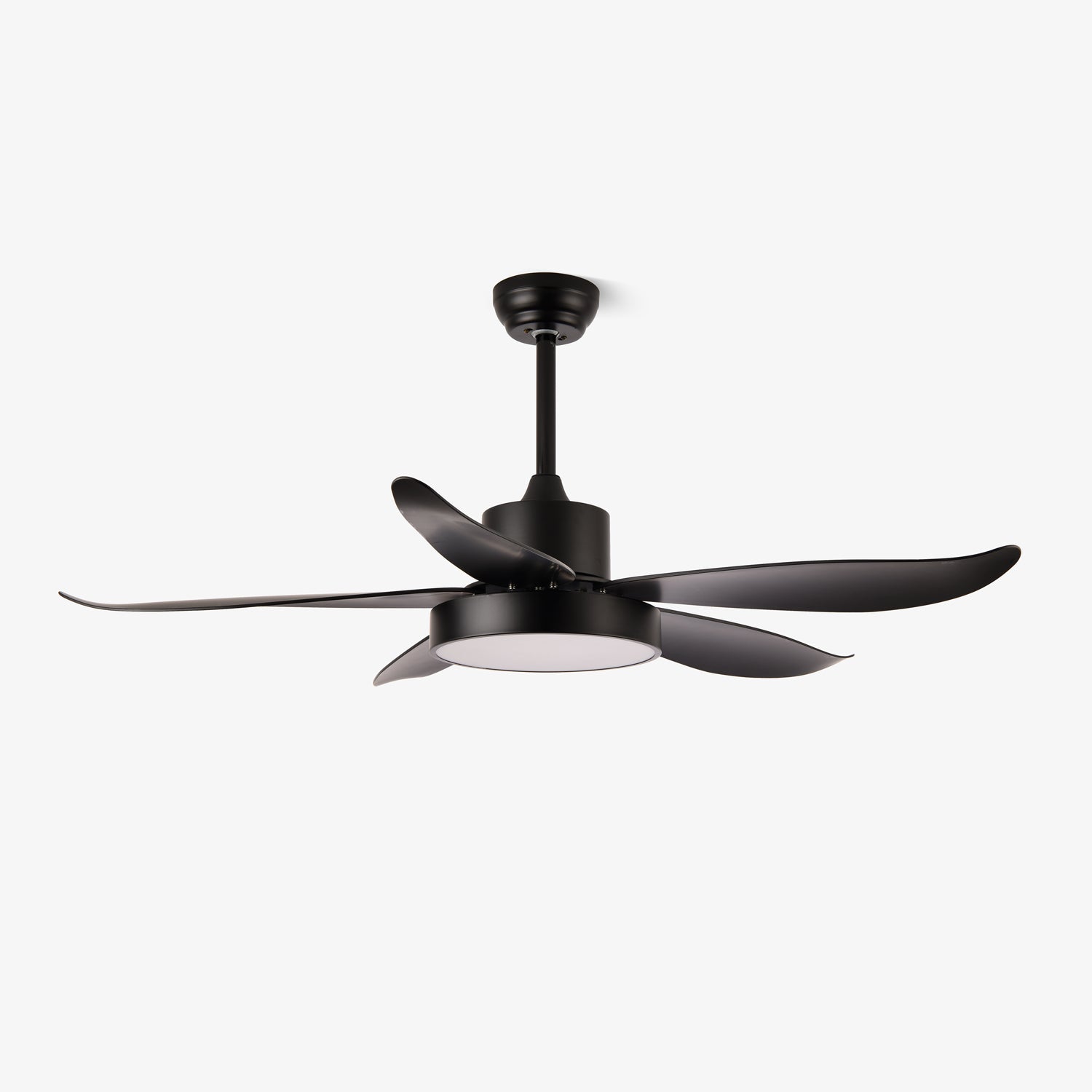Auron Modern Ceiling Fan Light - Letslighting