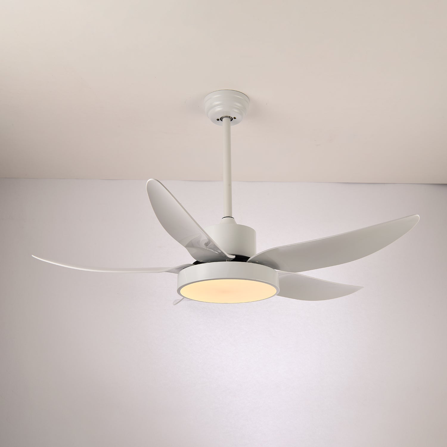 Auron Modern Ceiling Fan Light - Letslighting