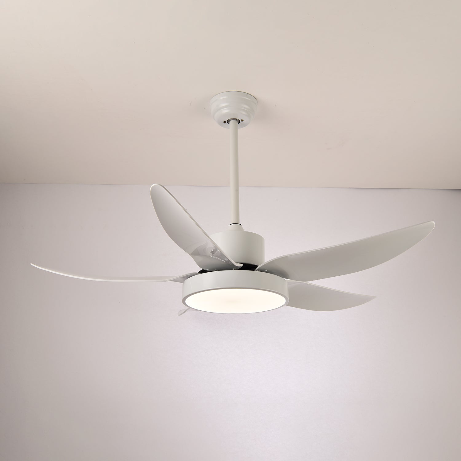 Auron Modern Ceiling Fan Light - Letslighting