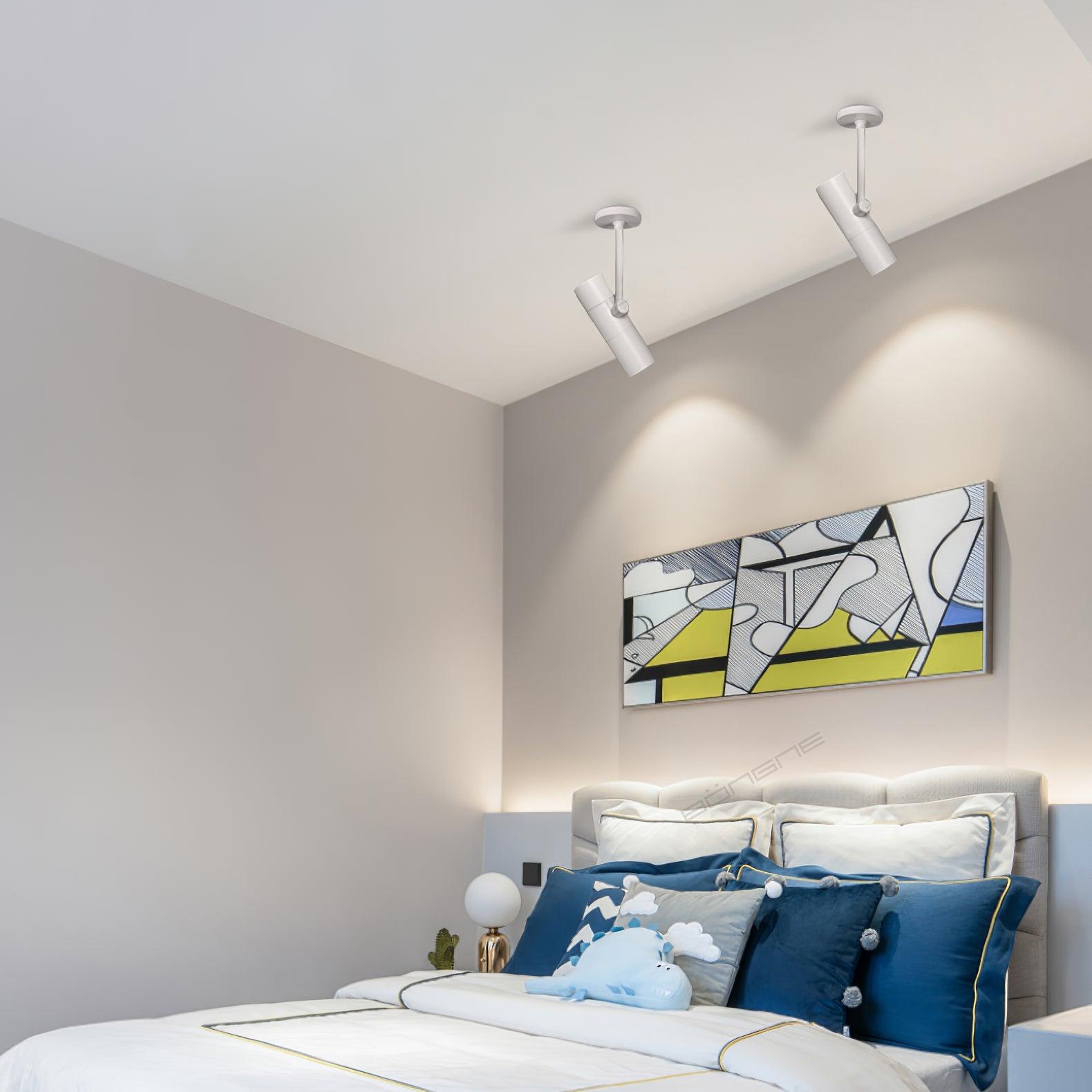 Solara Ceiling Light Cylinder Spotlight Industrial for Loft Study - Letslighting