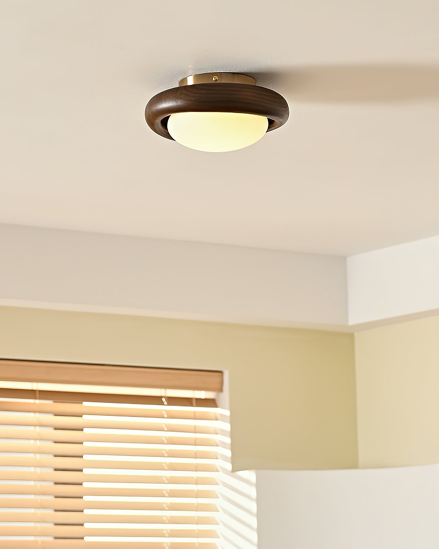 Novi Ceiling Lamp Wooden Ring With Frosted Globe - Letslighting