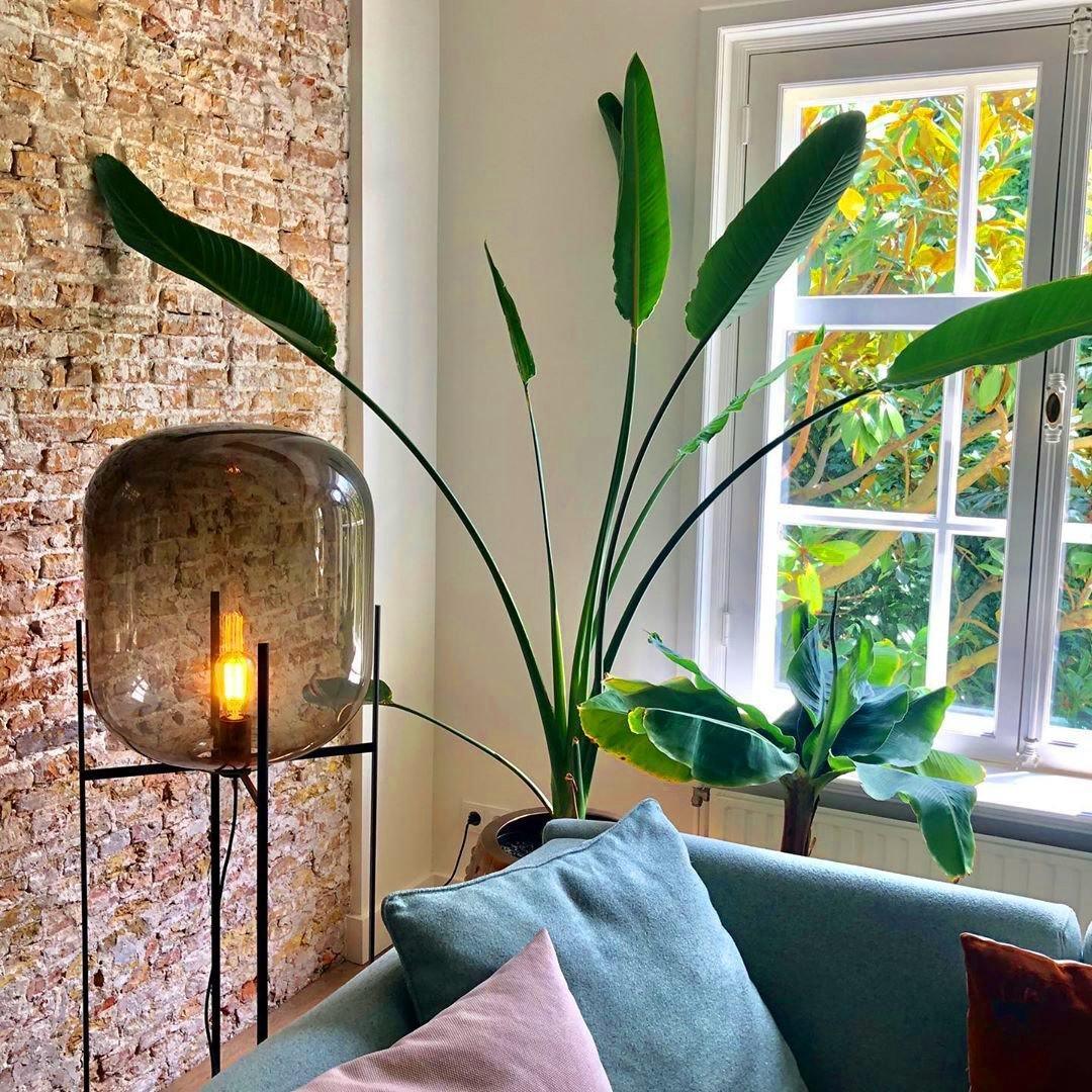 Zevia Glass Industrial Floor lamp - Letslighting