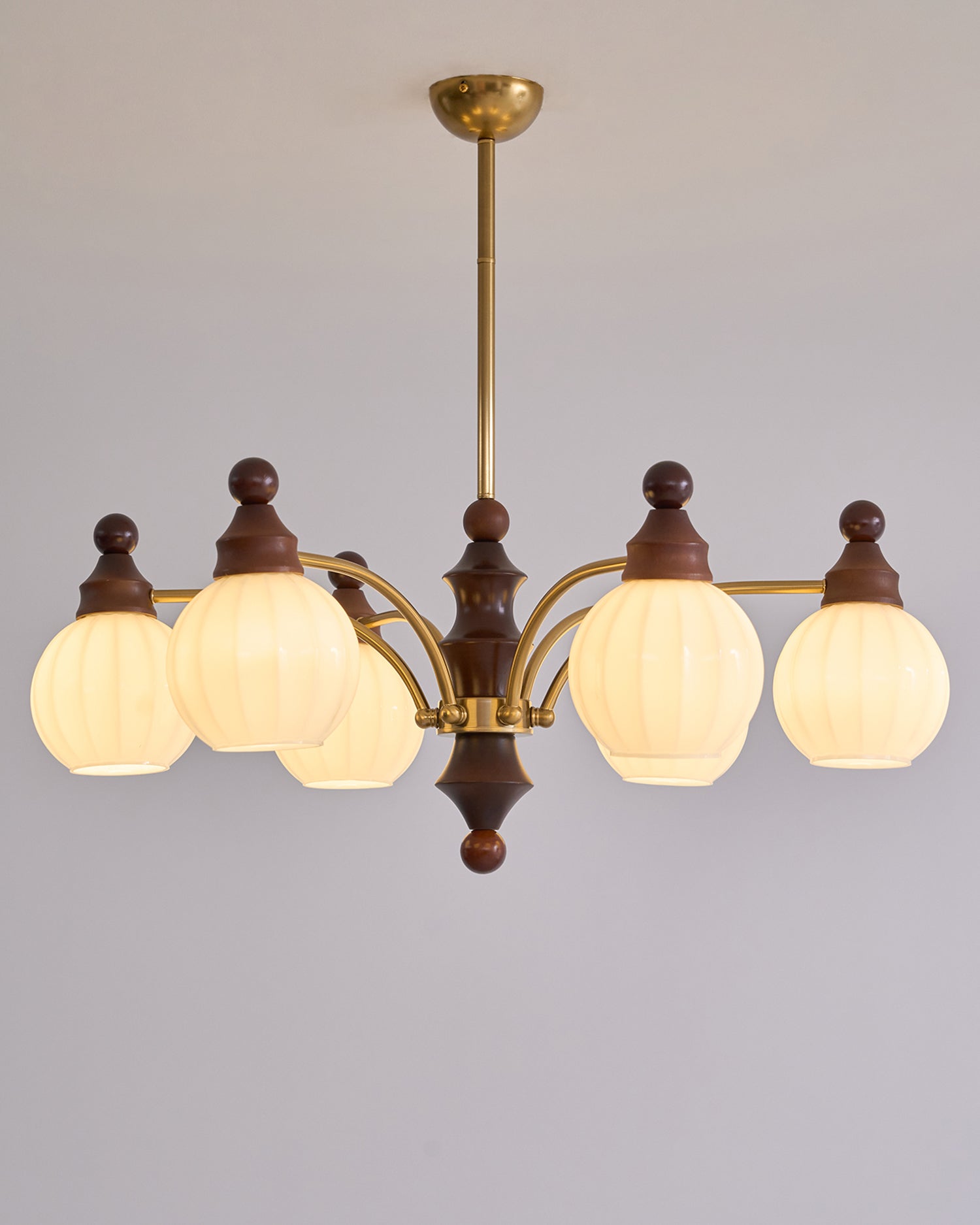 Lustra Chandelier Blossom with Glass Shades - Letslighting