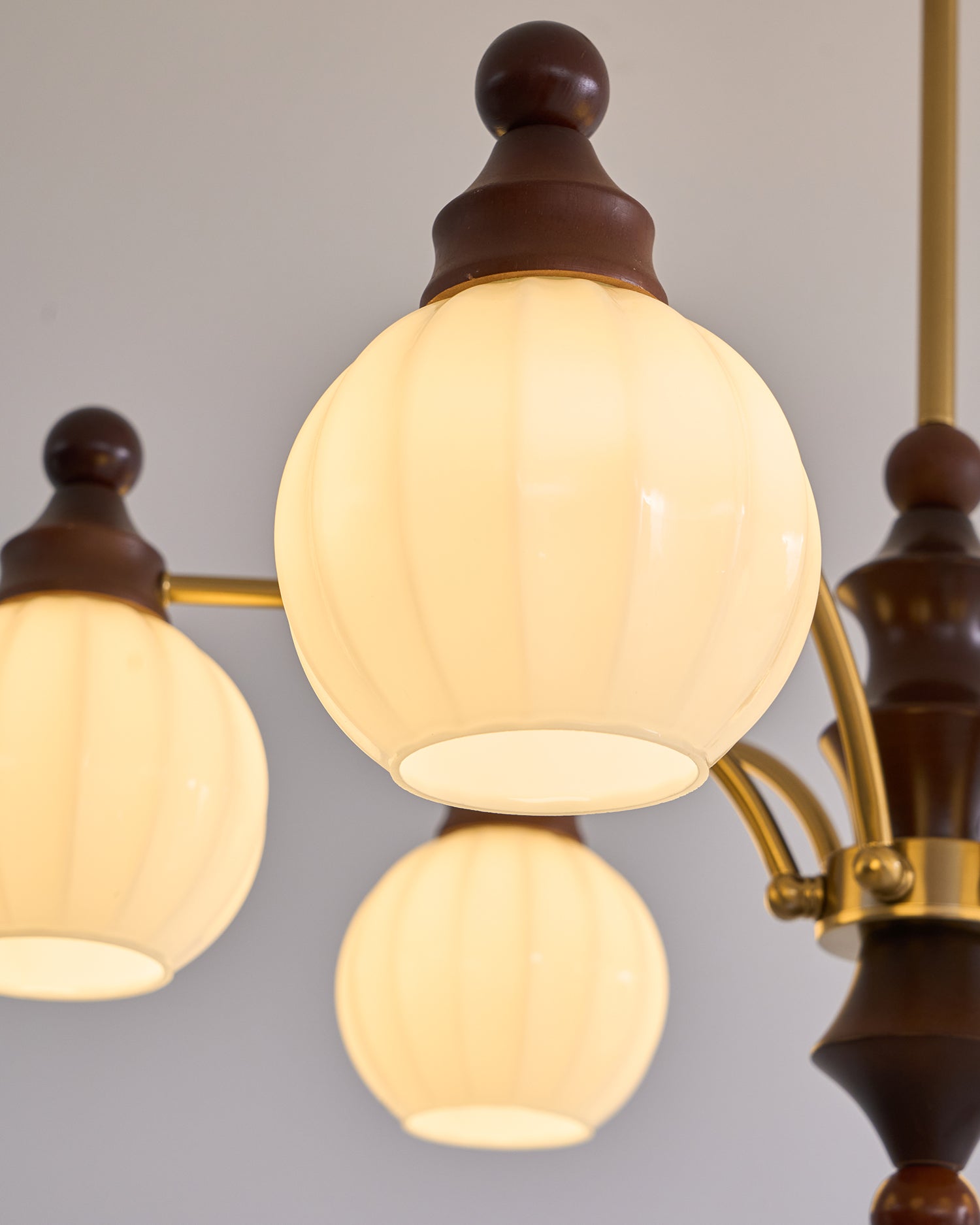 Lustra Chandelier Blossom with Glass Shades - Letslighting