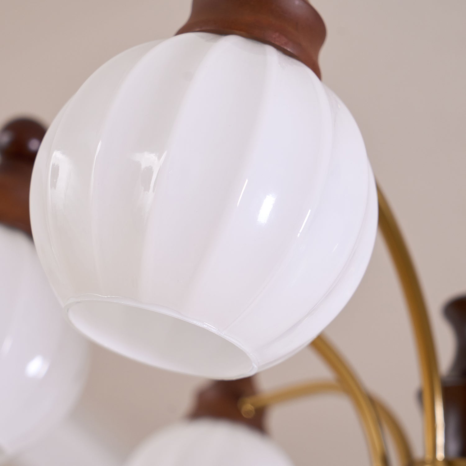 Lustra Chandelier Blossom with Glass Shades - Letslighting