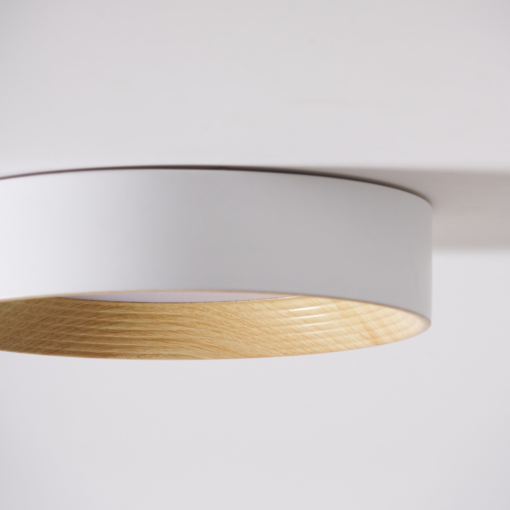 Oreen Ceiling Lamp - Blowlighting