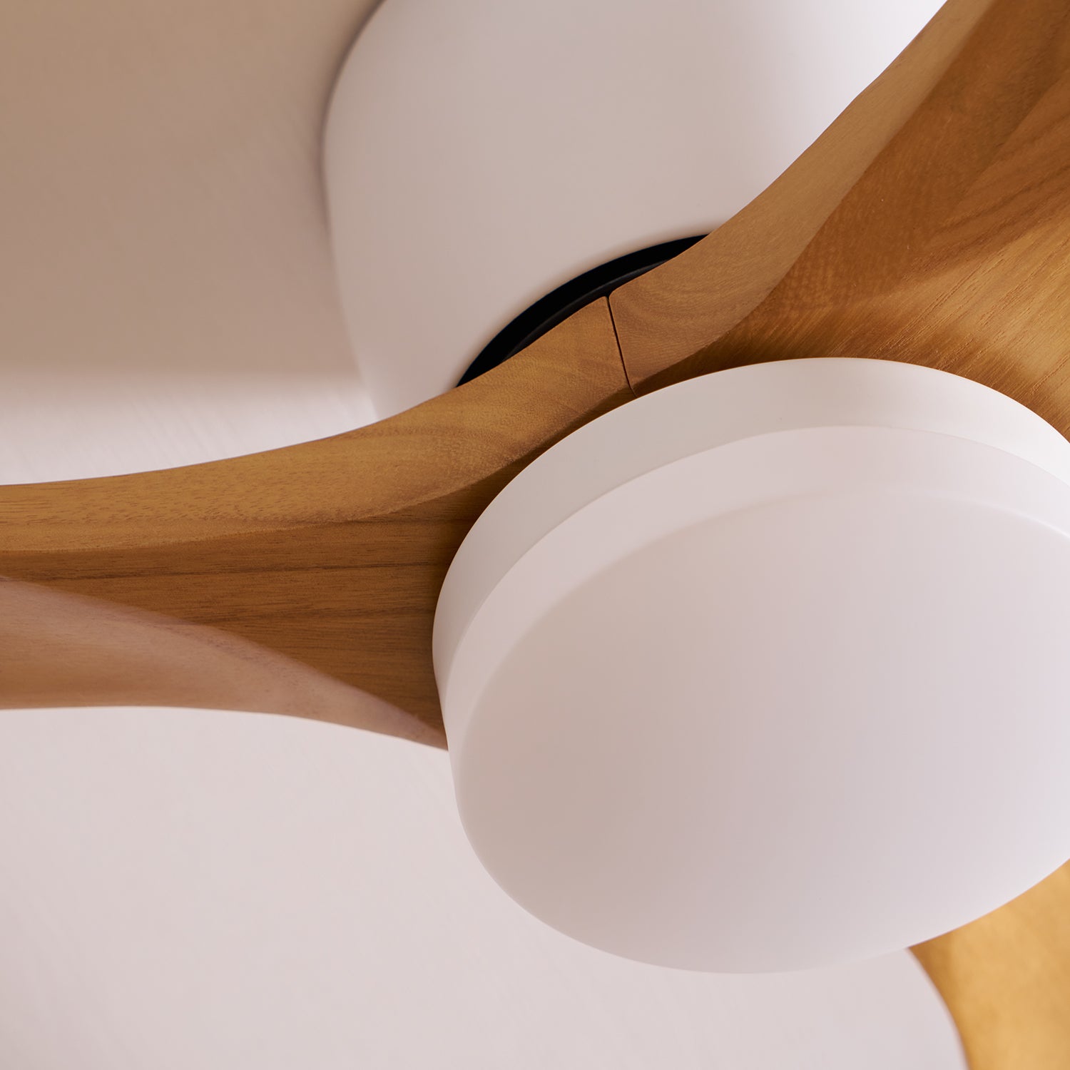 Elena Modern Wood Ceiling Fan Light - Letslighting