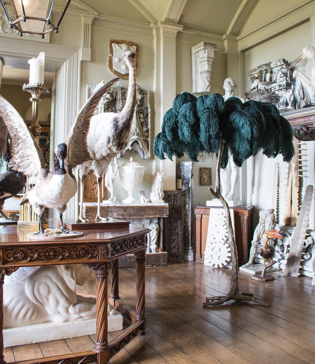 Selis Feather Brass Floor Lamp - Letslighting