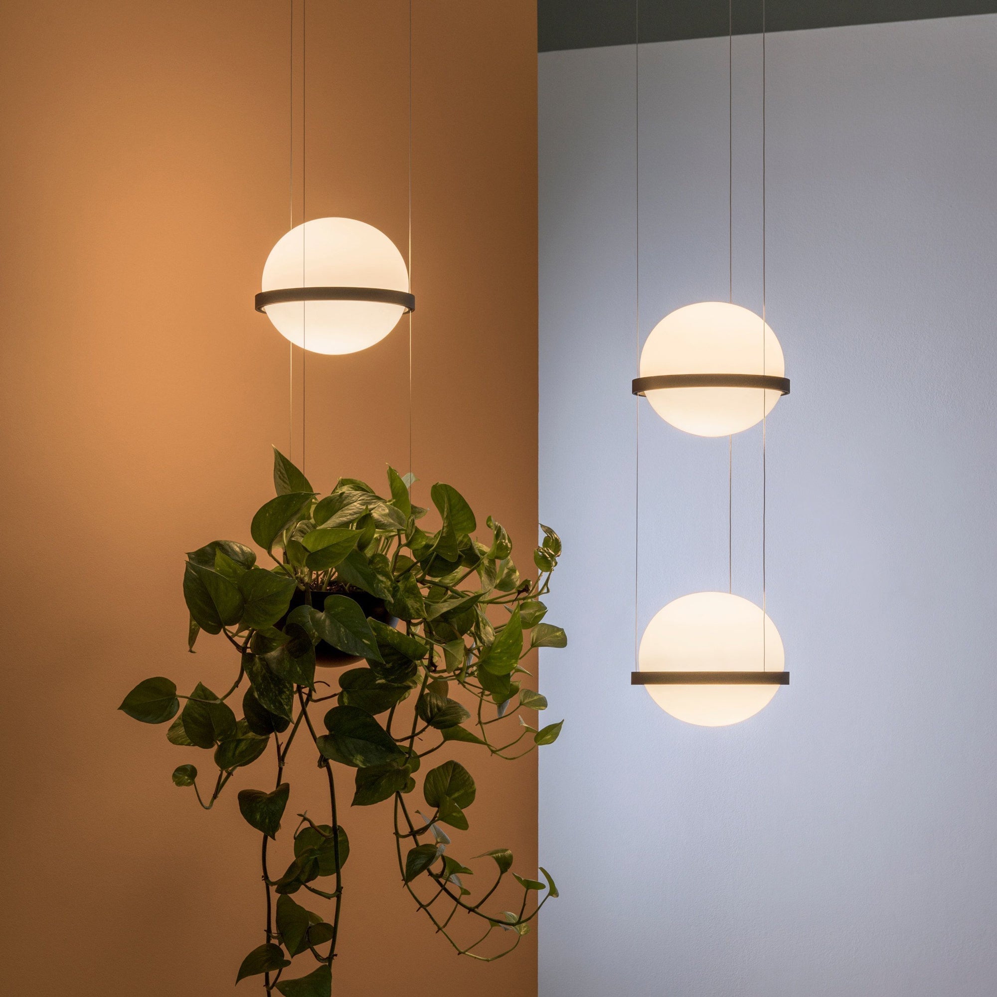 Xenith Acrylic Contemporary Pendant Lamp - Letslighting