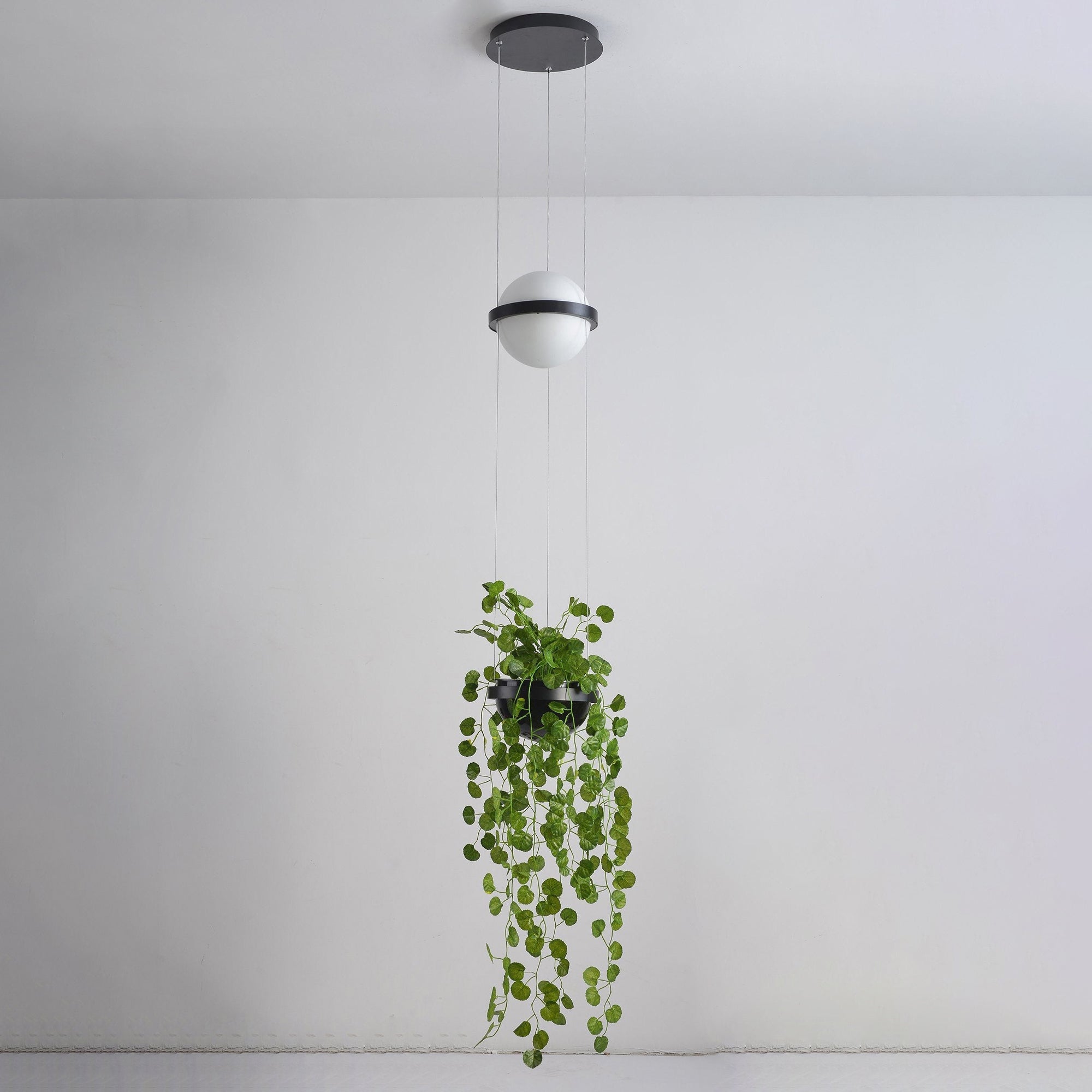 Xenith Acrylic Contemporary Pendant Lamp - Letslighting