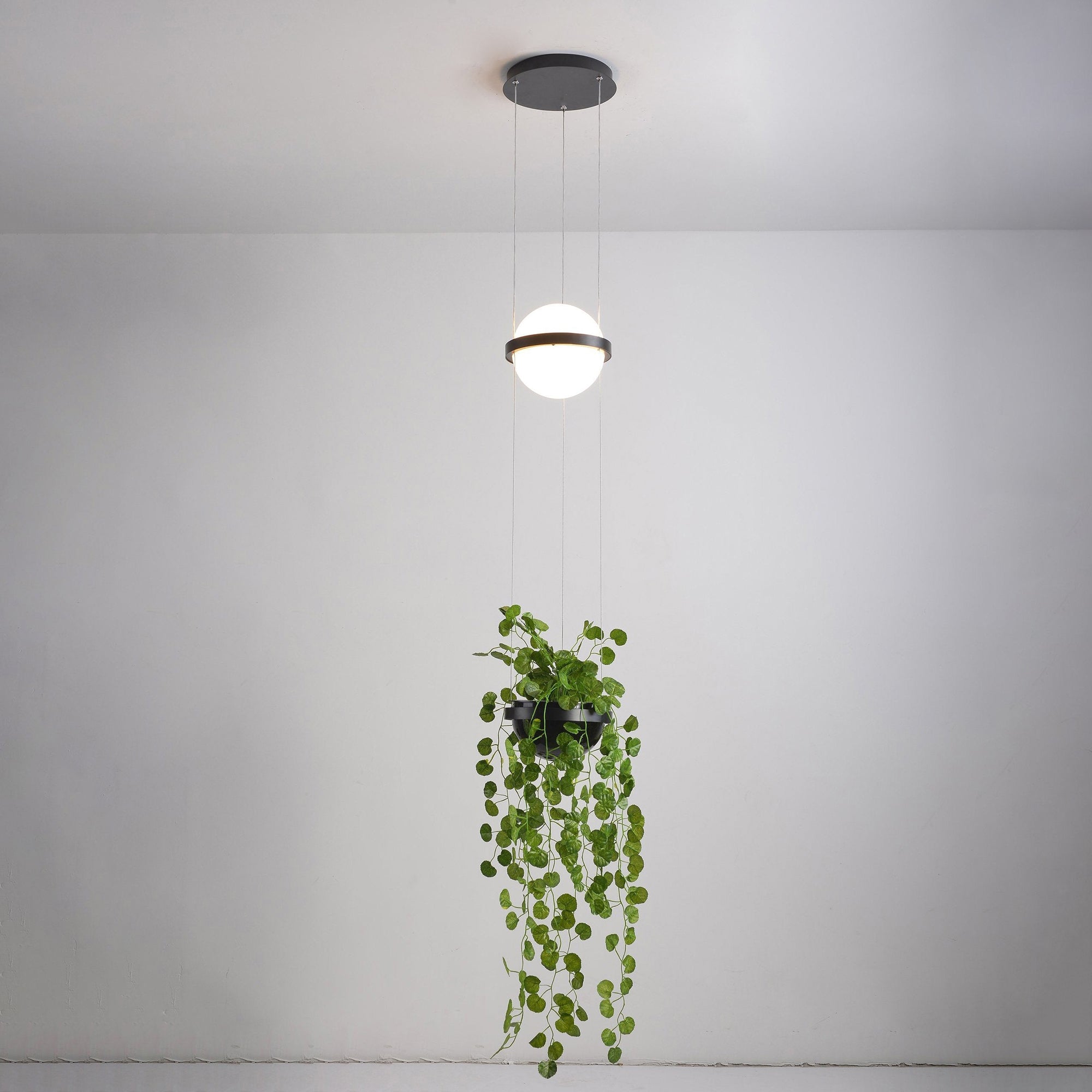 Xenith Acrylic Contemporary Pendant Lamp - Letslighting