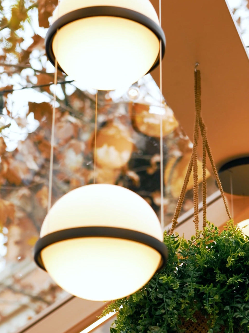 Xenith Acrylic Contemporary Pendant Lamp - Letslighting