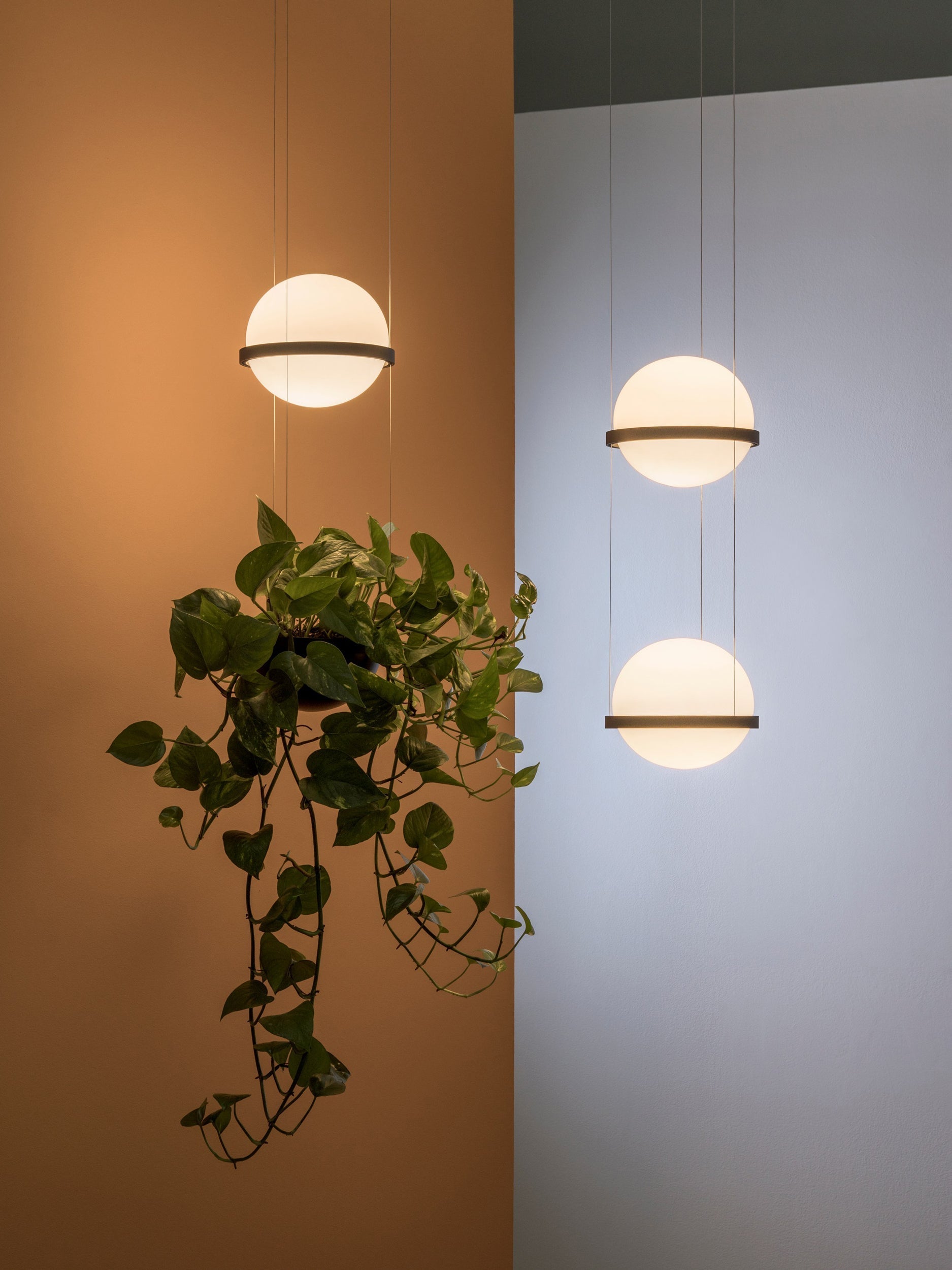 Xenith Acrylic Contemporary Pendant Lamp - Letslighting