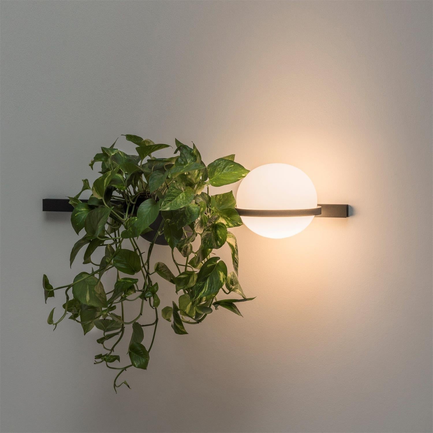 Olthaarae Modern Minimalist Plastic Wall Lamp - Letslighting