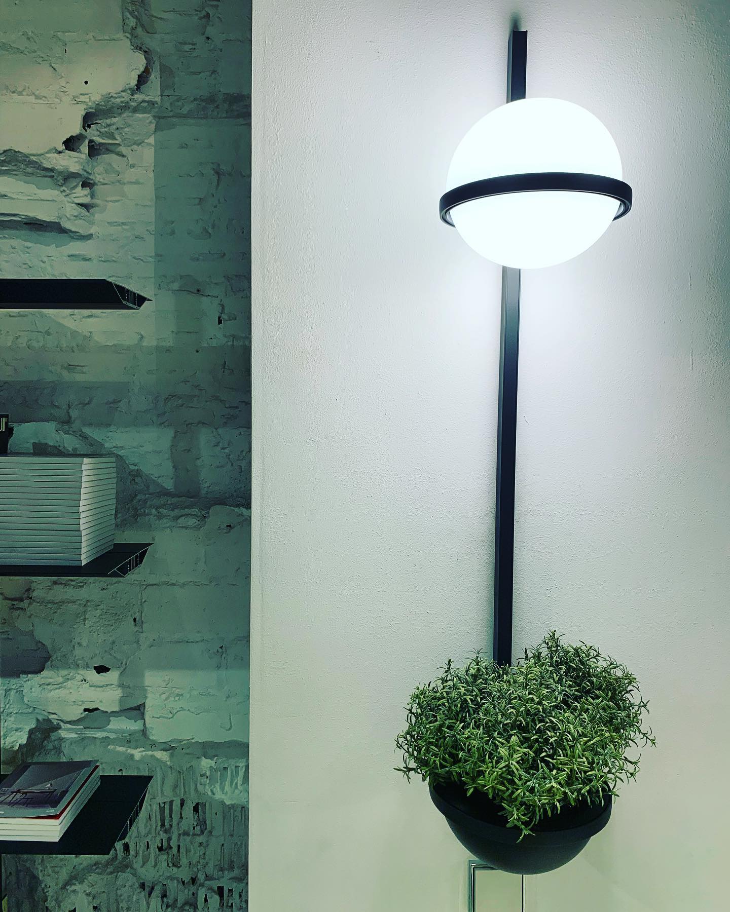 Olthaarae Modern Minimalist Plastic Wall Lamp - Letslighting