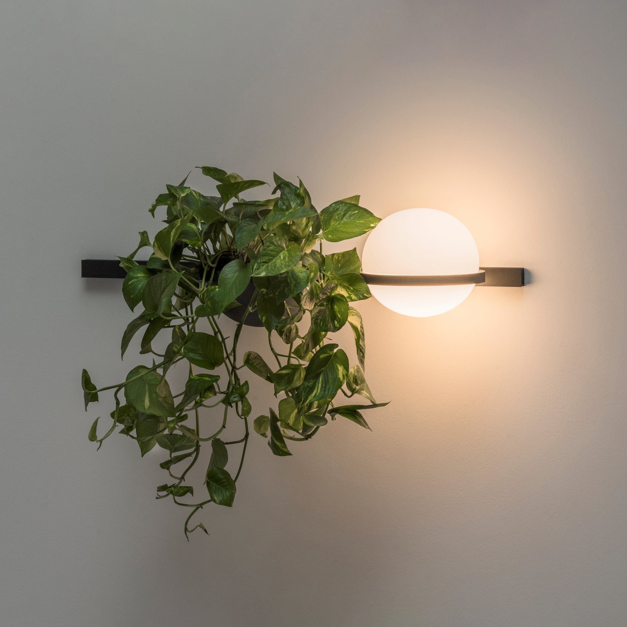 Elmarisra Modern Minimalist Wall Light - Letslighting