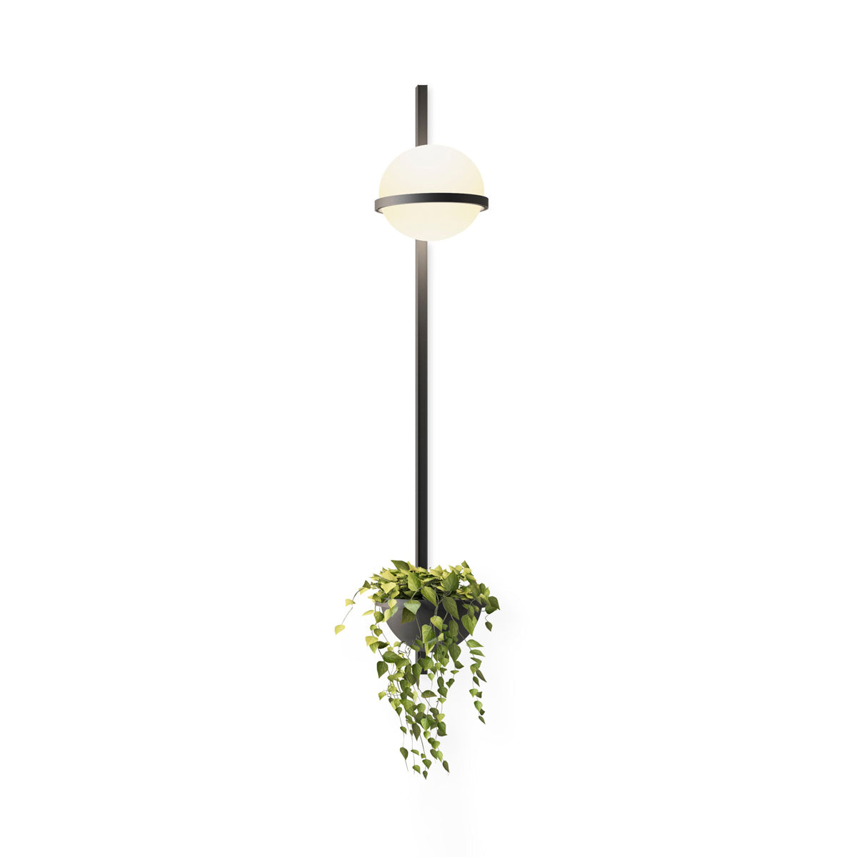 Elmarisra Modern Minimalist Wall Light - Letslighting