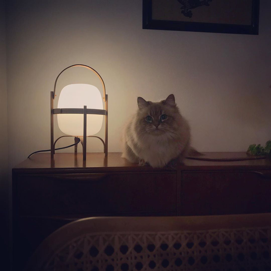 Lethra Wood Glass Table Lamp - Letslighting