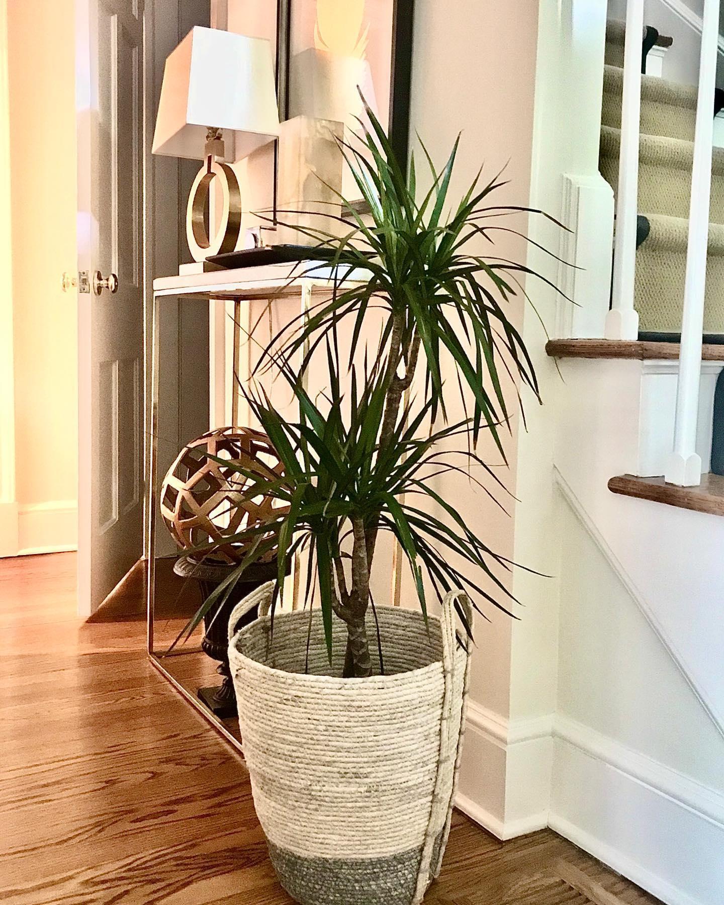 Vantor Fabric Minimalist Table Lamp - Letslighting