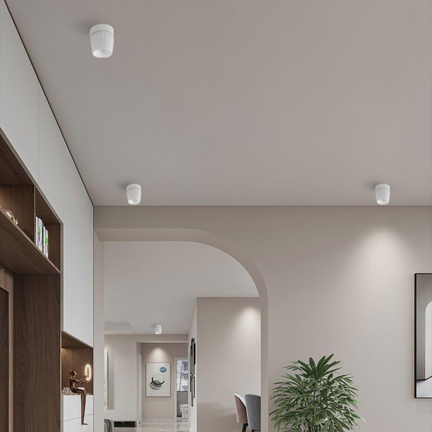 Rotatable Spotlight - Blowlighting