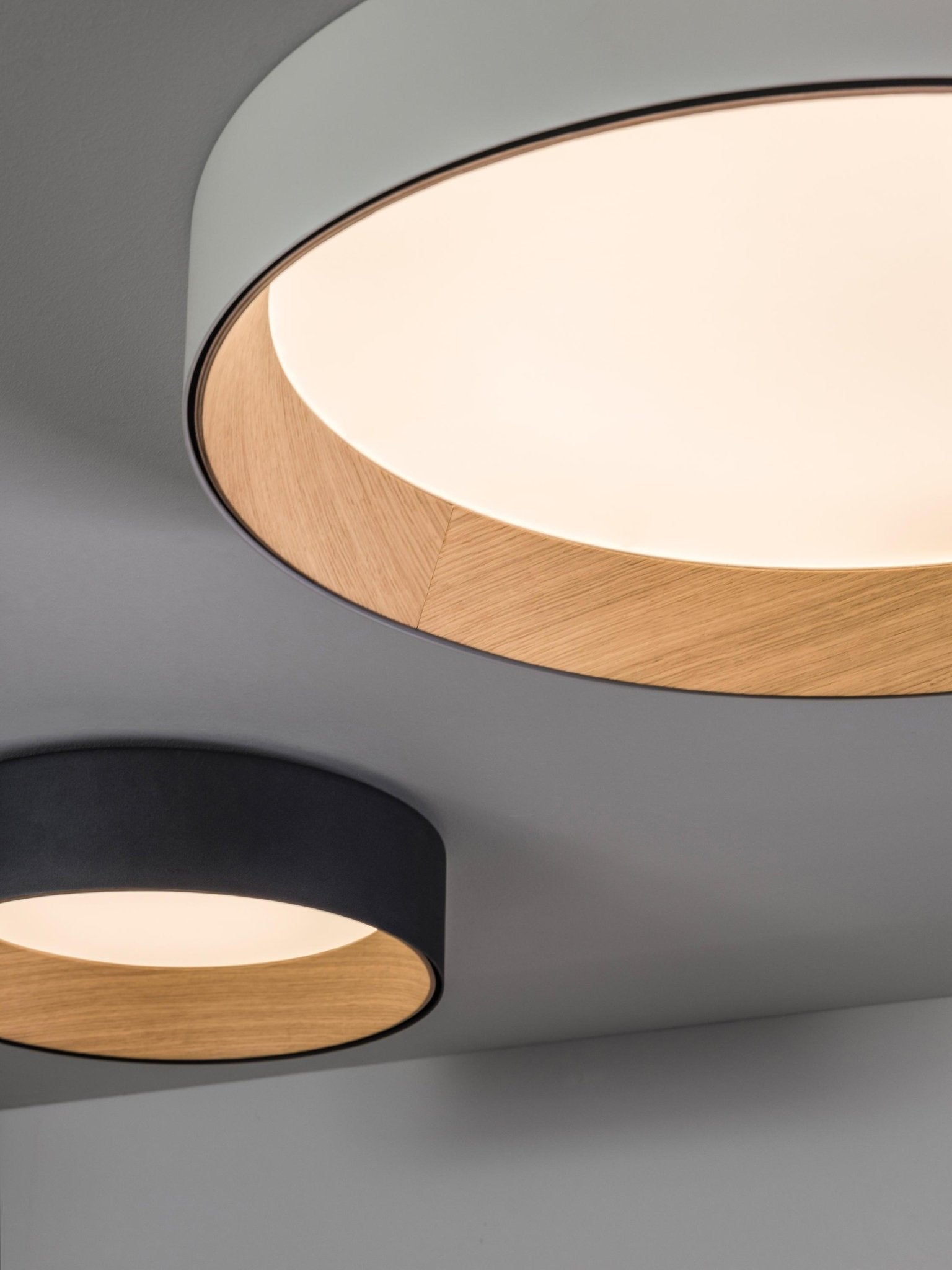 Elvenis Modern Minimalist Round Ceiling Lamp - Letslighting