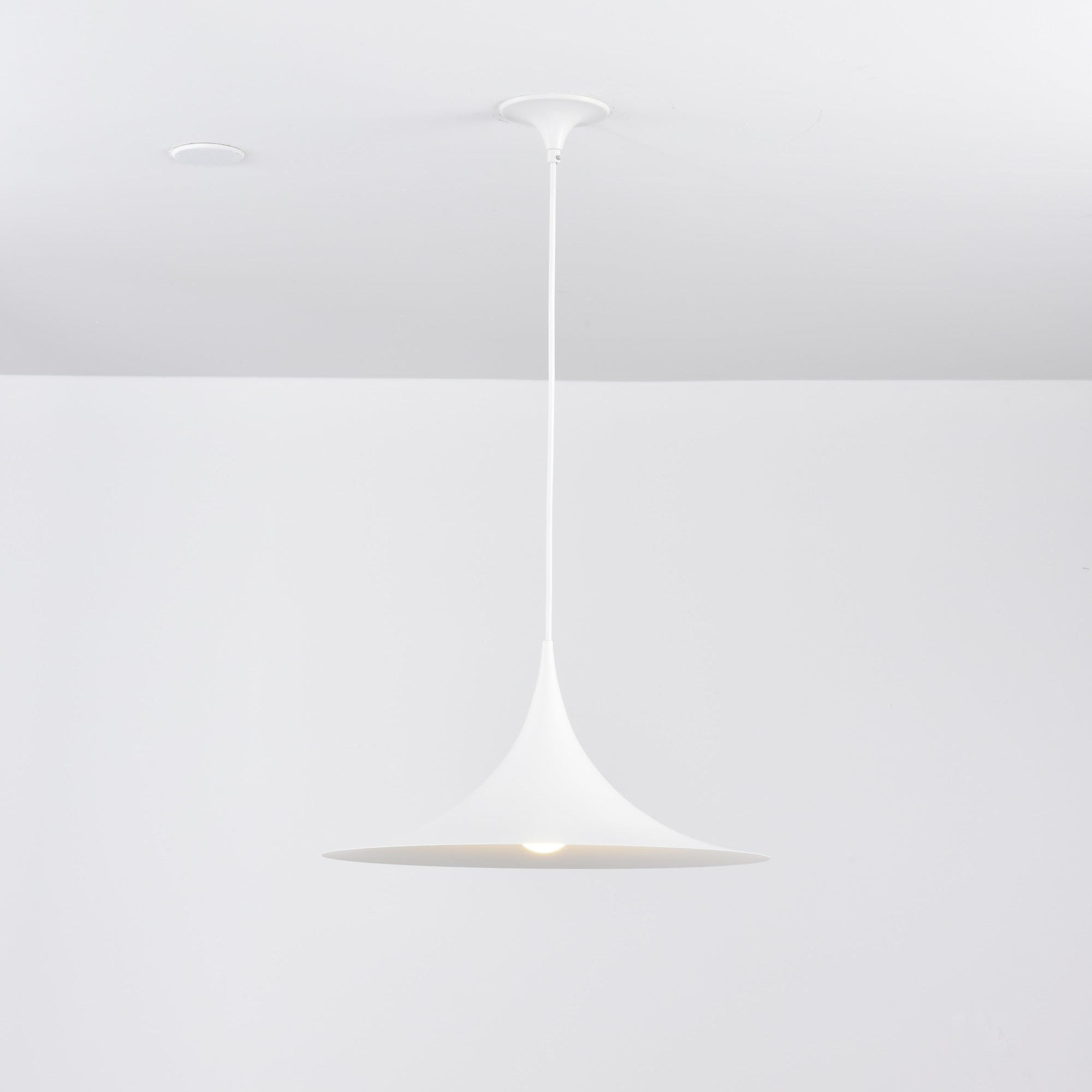 Althiran Steel Sculptural Pendant Light - Letslighting