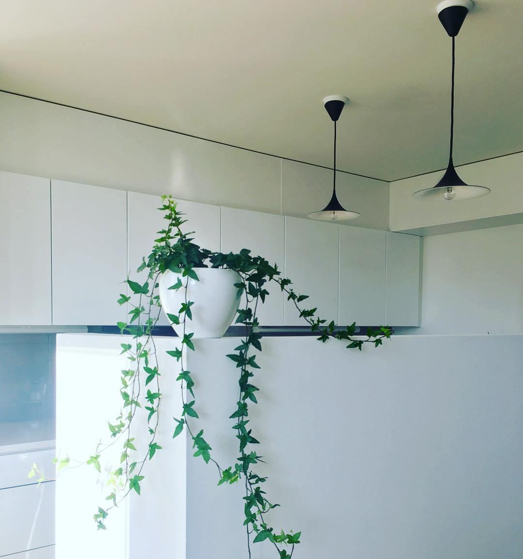 Althiran Steel Sculptural Pendant Light - Letslighting