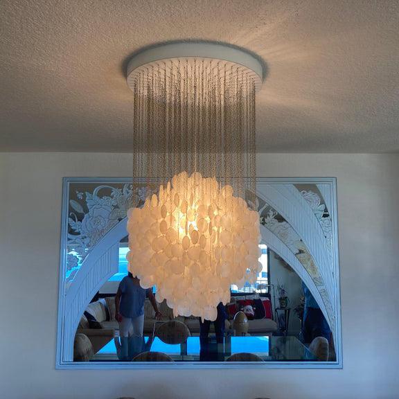 Shell Collections Chandelier - Letslighting