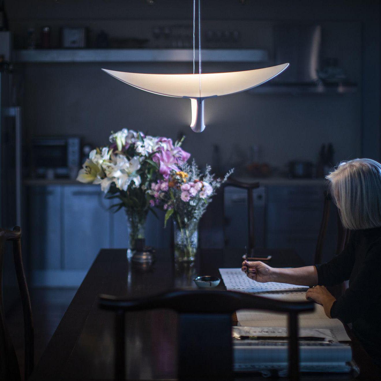 Shield Pendant Lamp Curved Organic Minimalist - Letslighting
