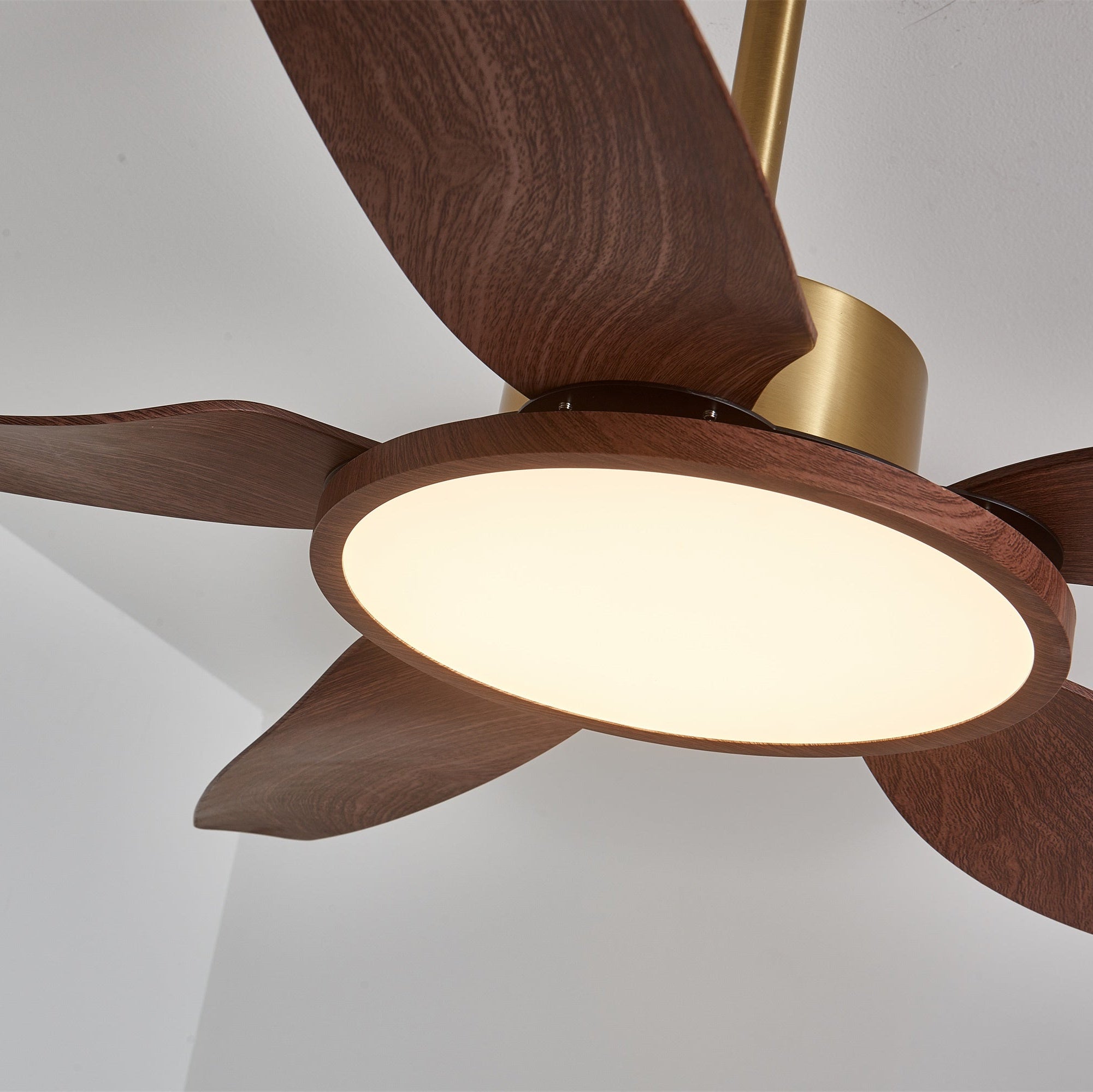 Aurelia Modern Wood Brass Ceiling Fan Light - Letslighting