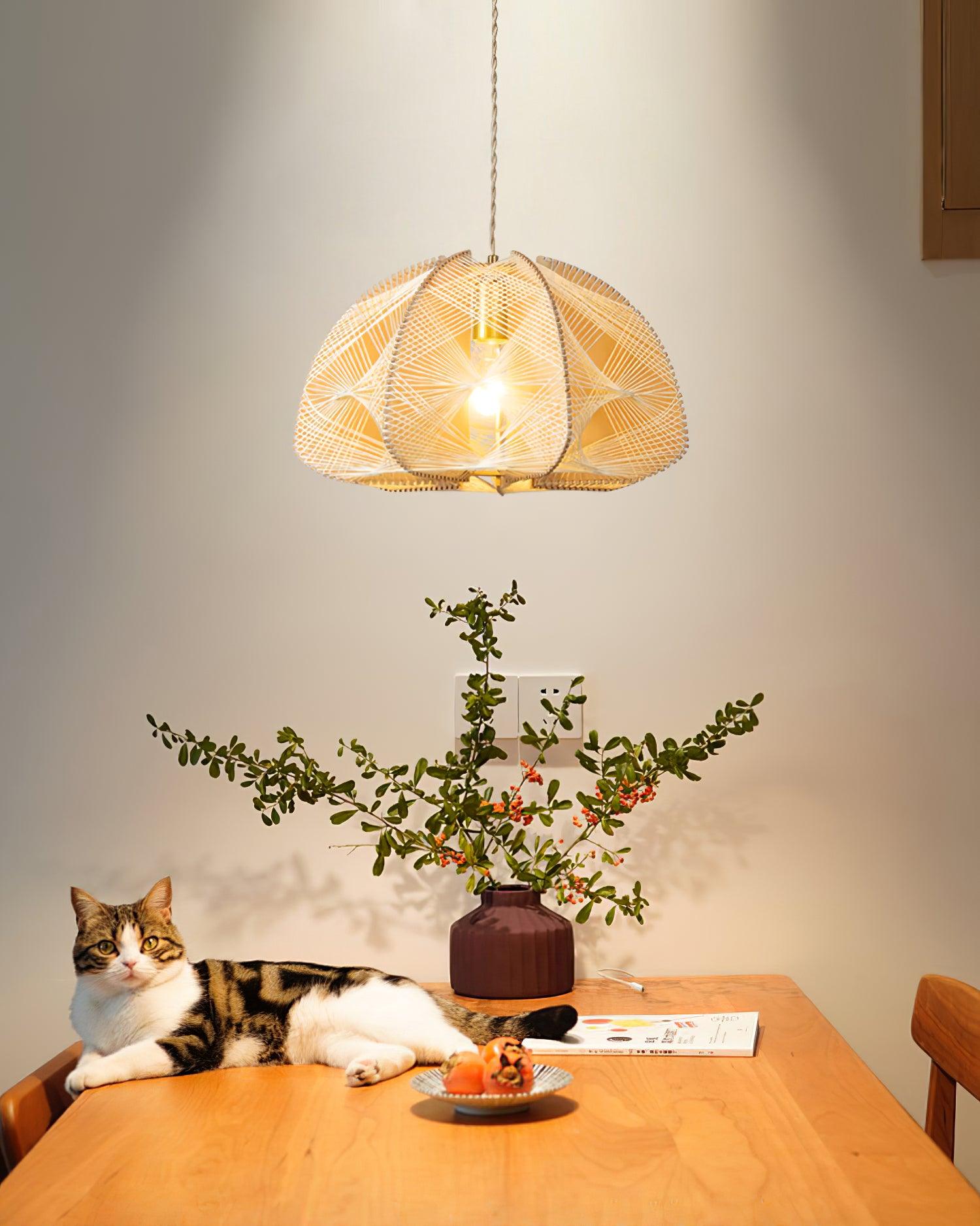 Surya Handwoven Dome Pendant Lamp - Letslighting
