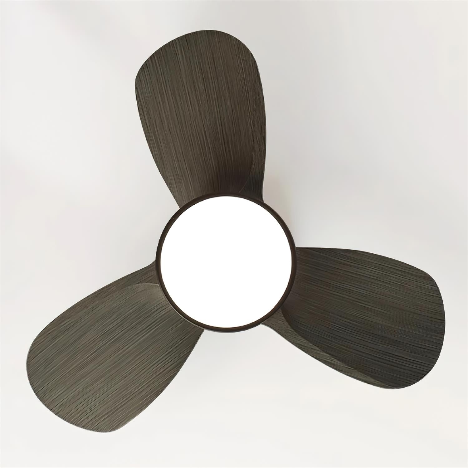 Talaya Ceiling Fan Light 24" Brushed Wood Blades - Letslighting