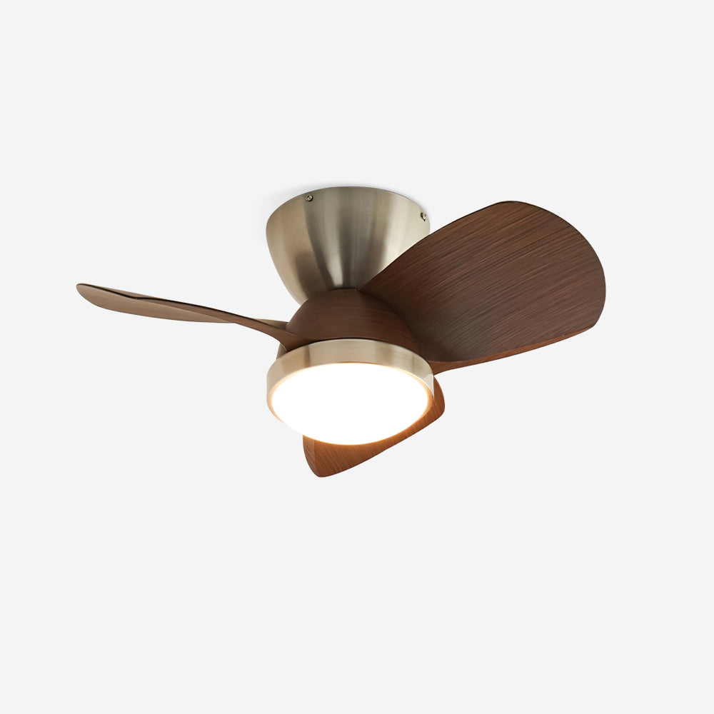 Talaya Ceiling Fan Light 24" Brushed Wood Blades - Letslighting