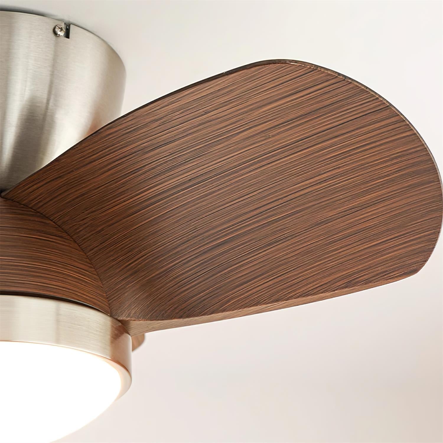 Talaya Ceiling Fan Light 24" Brushed Wood Blades - Letslighting