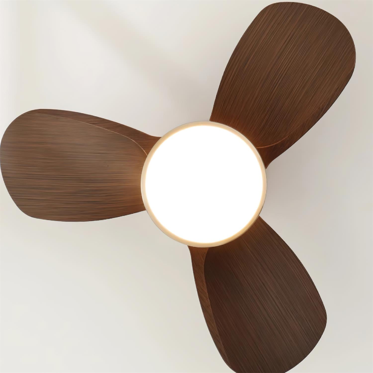Talaya Ceiling Fan Light 24" Brushed Wood Blades - Letslighting
