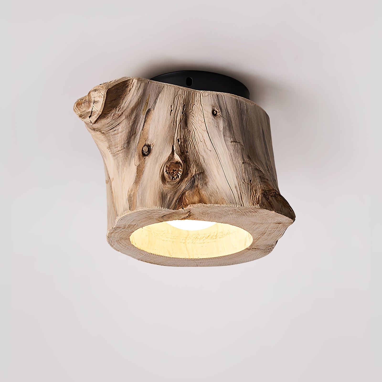 Tarn Hollow Ceiing Lamp - Letslighting