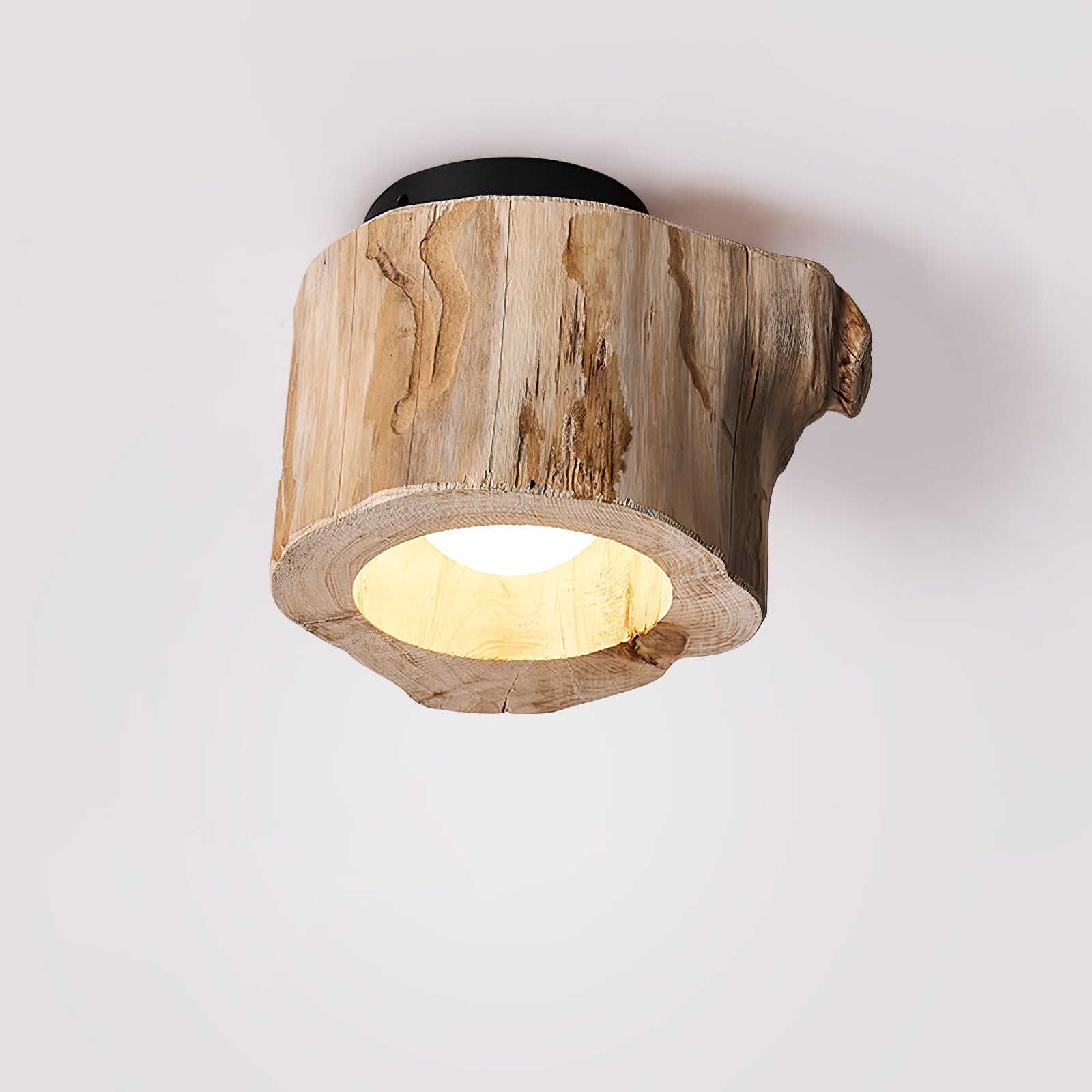Tarn Hollow Ceiing Lamp - Letslighting