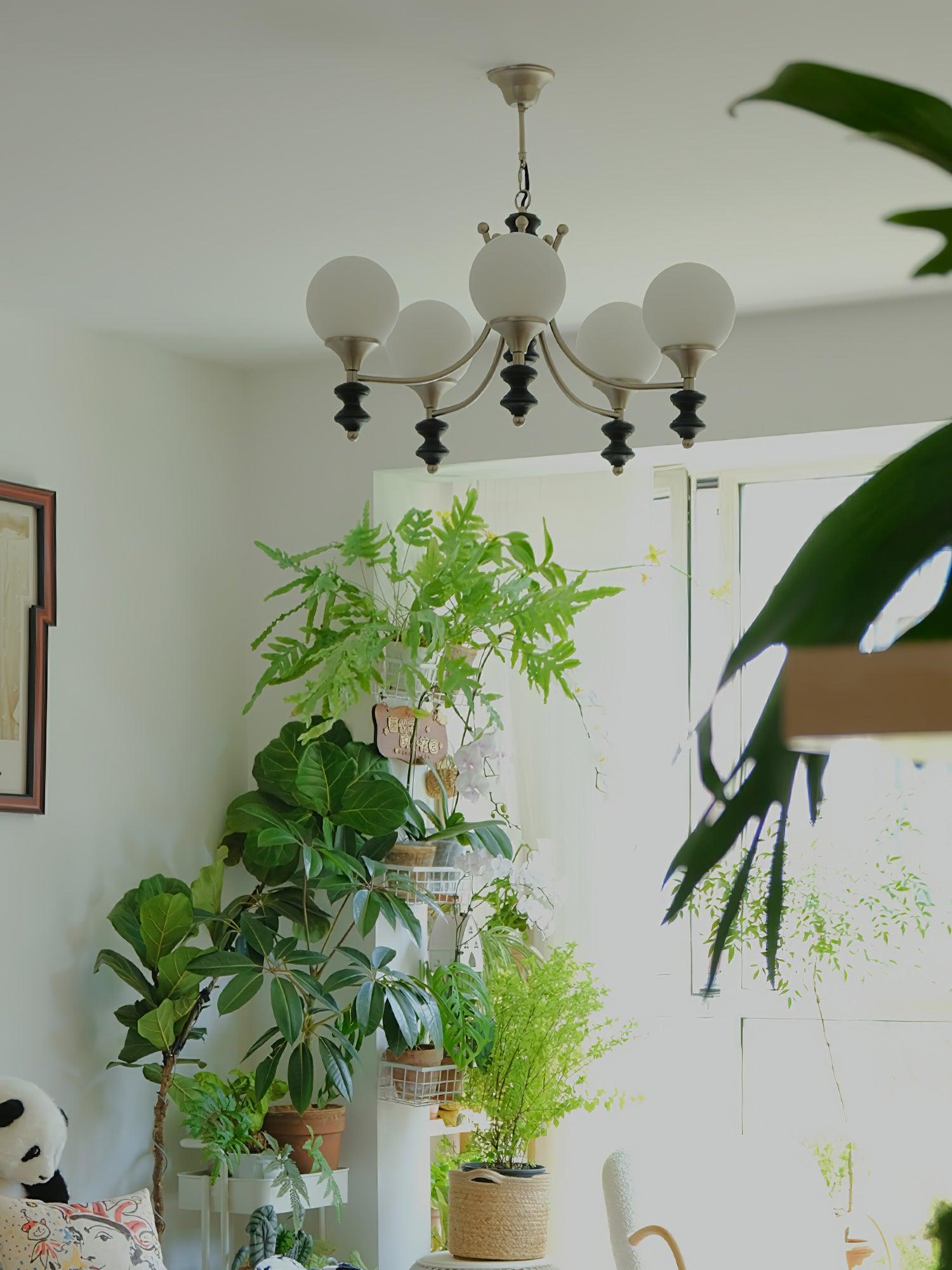 Kai Luxury Chandelier - Letslighting